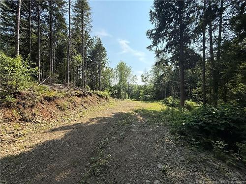 306 Bridge St, Minto, NB 