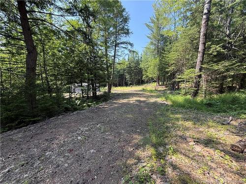 306 Bridge St, Minto, NB 