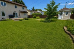 Courtyard - 