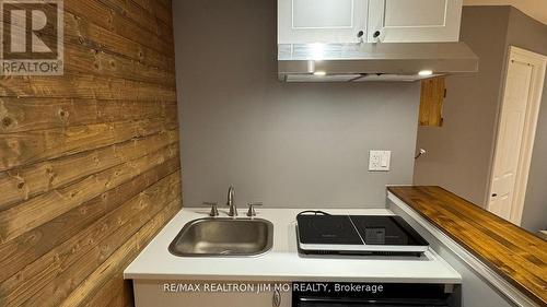 Basement - 50 Reginald Crescent, Markham, ON - Indoor