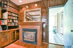 Fireplace in Library - 