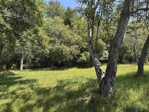16 Wrights Road, Shelburne, NS 