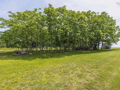 3419 358 Highway, Arlington, NS - Outdoor