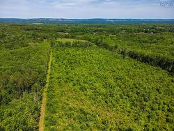Vacant Land Torbrook Road Torbrook Mines, NS B0P 1R0