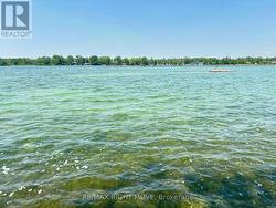 Views from the shore - 