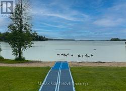 Mobile Mat to Beach for Wheelchair - 