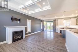 Living Room Fireplace - 