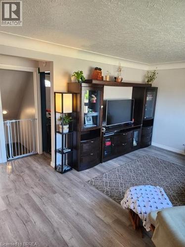 Living area featuring wood-finish flooring, light gray wall paint, and white crown molding - 86 North Park Street, Brantford, ON 