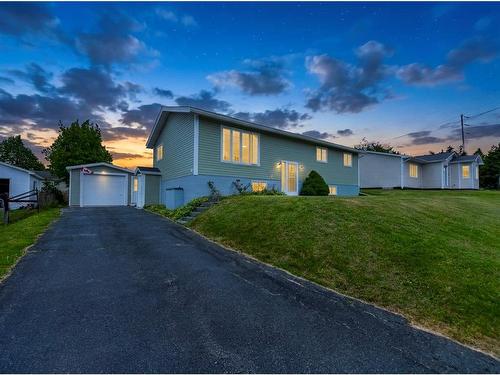 69 Bannerman Lake Road  Harbour Grace, NL A0A 2M0