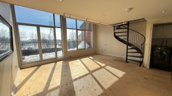 Salon - 
