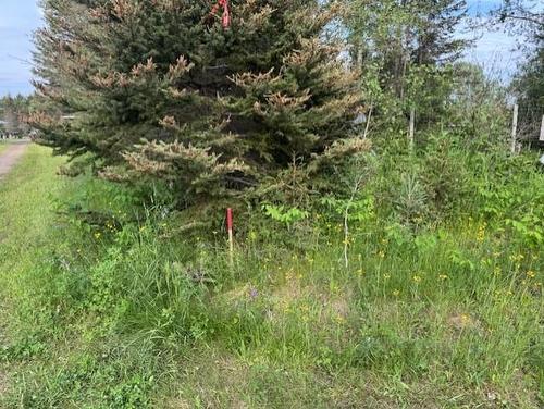 183 Thompson Road, Thunder Bay, ON 