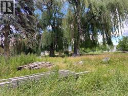 210 Co-op Avenue Unit# Proposed Lot 3 Lot# 3  Oliver, BC V0H 1T0