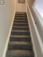 New carpet on stairs - 
