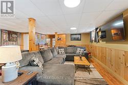large rec room - 