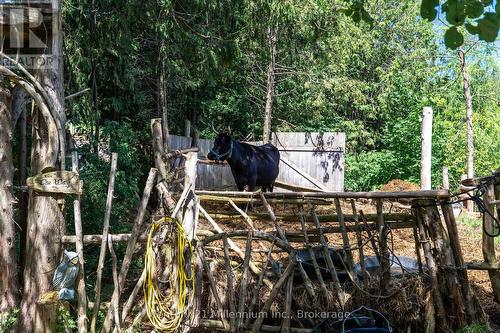 612608 Sideroad 61, Southgate, ON 