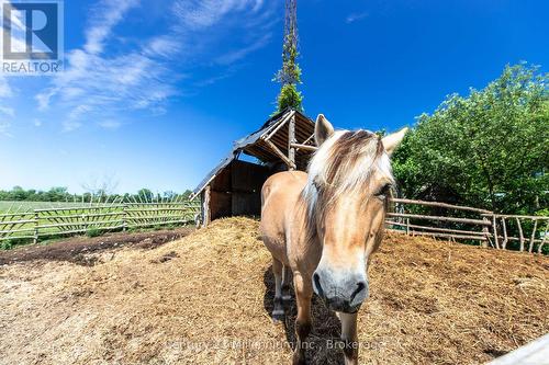612608 Sideroad 61, Southgate, ON 
