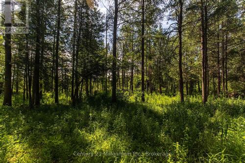 612608 Sideroad 61, Southgate, ON 