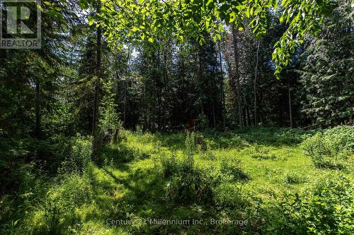 612608 Sideroad 61, Southgate, ON 