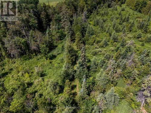 612608 Sideroad 61, Southgate, ON 