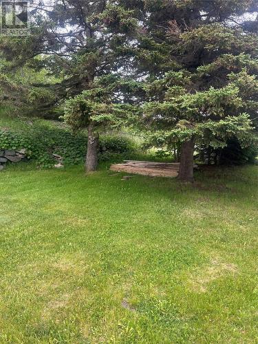 336 Main Road, Winterton, NL 
