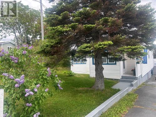 336 Main Road, Winterton, NL 