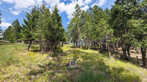 61 Sandstone Circle, Invermere, BC 