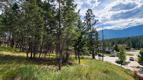 61 Sandstone Circle, Invermere, BC 