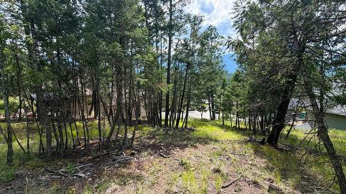 61 Sandstone Circle, Invermere, BC 