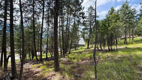 61 Sandstone Circle, Invermere, BC 