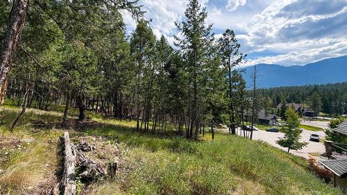 61 Sandstone Circle, Invermere, BC 