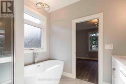 Sample Sugar Maple Interior - 