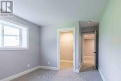 Sample Sugar Maple Interior - 