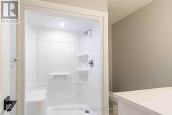 Sample Sugar Maple Interior - 