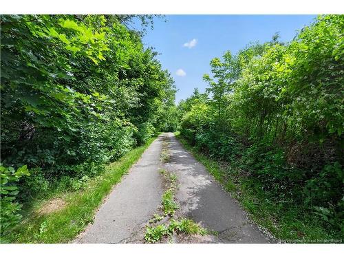 88 Gowland Mountain Rd, Elgin, NB 