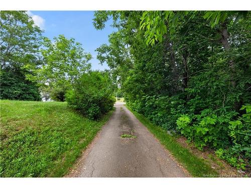88 Gowland Mountain Rd, Elgin, NB 