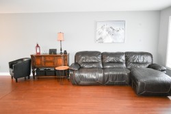 Salon - 