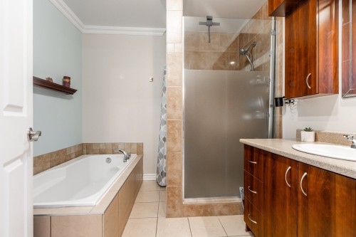 Bathroom - 101-819 Boul. Le Bourg-Neuf, Repentigny (Le Gardeur), QC - Indoor Photo Showing Bathroom