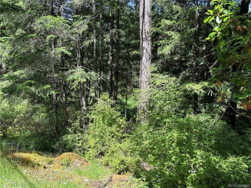 5596 Munn Rd, Highlands, BC 