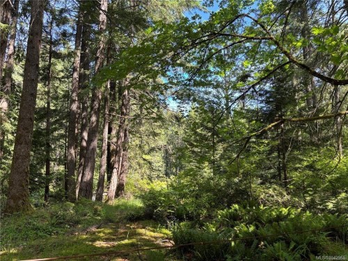 5596 Munn Rd, Highlands, BC 