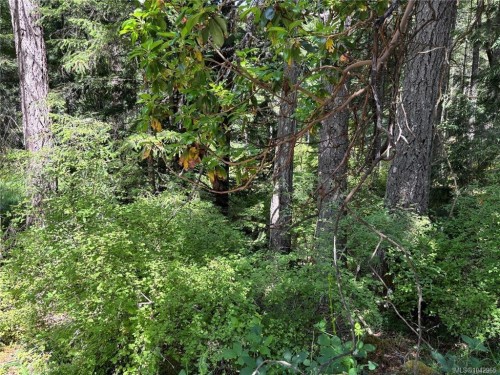 5596 Munn Rd, Highlands, BC 