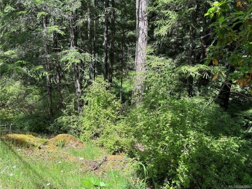 5596 Munn Rd, Highlands, BC 