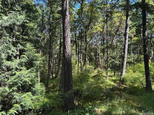 5596 Munn Rd, Highlands, BC 