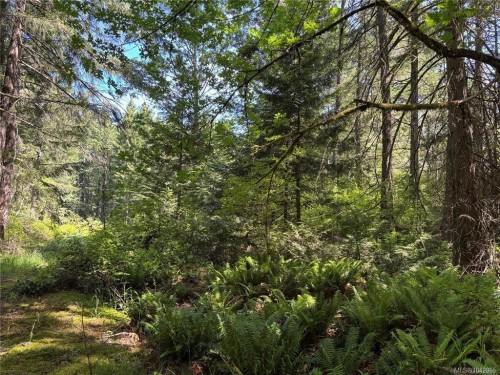 5596 Munn Rd, Highlands, BC 