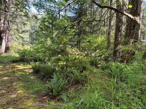 5596 Munn Rd, Highlands, BC 
