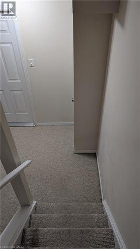 Carpeted staircase with white handrail leading to a landing with a paneled door, light-colored walls, and matching carpeting - 384 Pastern Trail, Waterloo, ON 