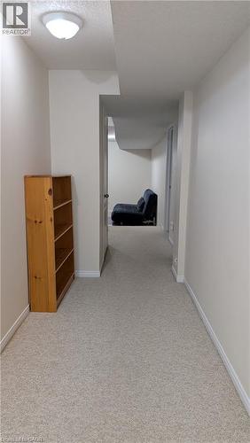 Plush neutral-toned carpeting throughout the hallway, featuring white baseboards and a ceiling-mounted light fixture - 384 Pastern Trail, Waterloo, ON 
