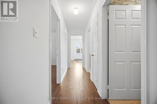 16 Capistro Street, Brampton, ON 