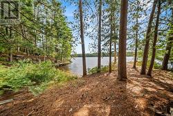 Plenty of property to roam - 