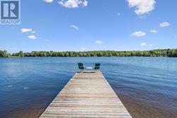 Jump off the Dock! - 