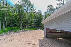 View of back yard - 